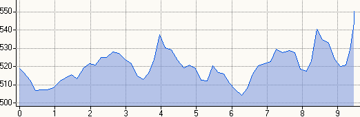 Silversterlauf Seubersdorf 2007